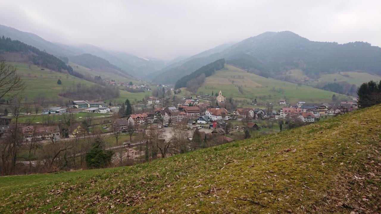 Pension Schlossbergblick سيمونسوالد المظهر الخارجي الصورة